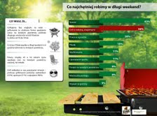 Grill w oczach Polaków