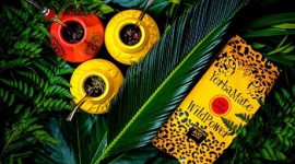 NOWOŚĆ! Kolekcja Yerba Mate „Wild Power” od marki Czas na Herbatę