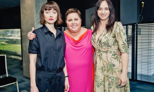Feminizm Przyjemności