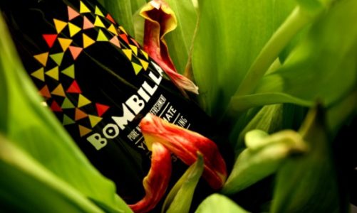 Yerba Mate – co warto o niej wiedzieć?