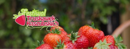 Podczas Festiwalu Truskawek Kaszubskich po raz kolejny będą ustanawiać rekord