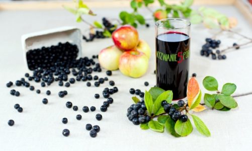 Cudze chwalicie, swego nie znacie – co w polskim sadzie piszczy