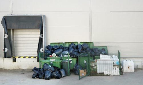 Marnowanie żywności – problem, którego skala jest większa niż sądzimy