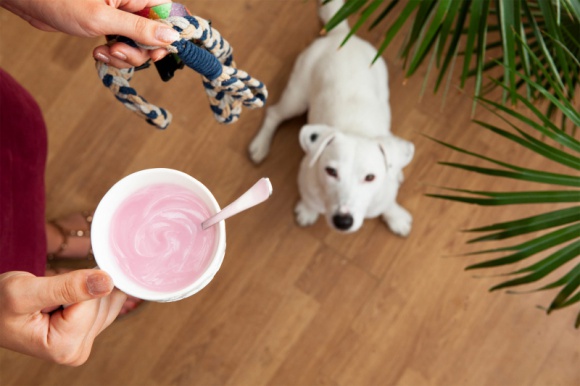 Śniadanie „last minute” LIFESTYLE, Żywienie - Zaspaliśmy. Znowu. W porannym chaosie, jaki towarzyszy tego typu sytuacji, trudno pamiętać o przygotowaniu śniadania oraz lunchu do szkoły czy pracy. Oczywiście, można skorzystać z maszyny vendingowej, jednak każdy z nas z doświadczenia wie, że hot-dog nie rozwiąże (...)