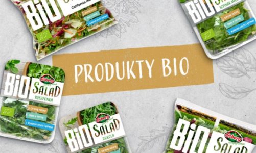 Nowość! Wprost z natury – linia produktów BIO marki Eisberg
