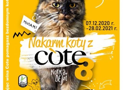 Już wkrótce wystartuje 8 edycja „Nakarm koty z COTE”