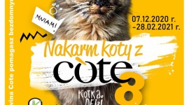 Już wkrótce wystartuje 8 edycja „Nakarm koty z COTE” LIFESTYLE, Żywienie - Już wkrótce wystartuje 8 edycja „Nakarm koty z COTE”